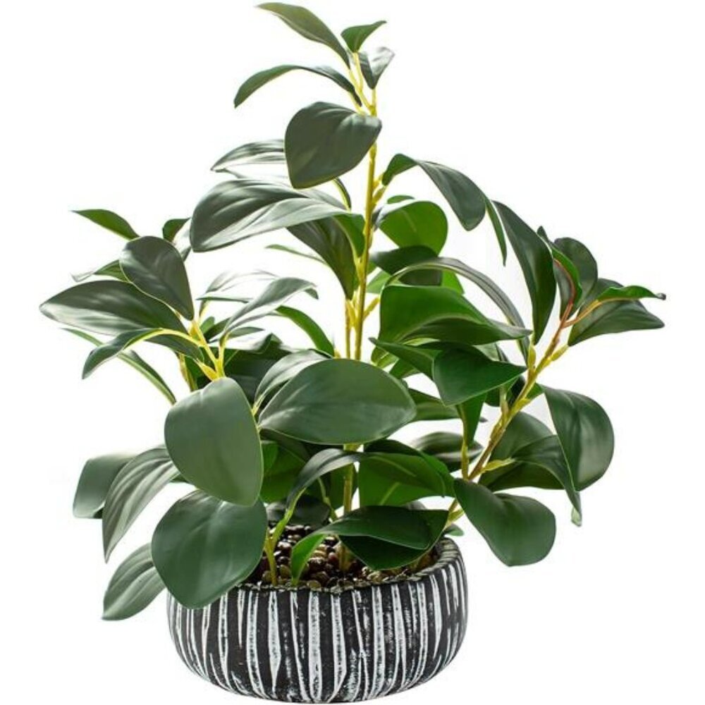 Fake Succulent Plant in Black Clay Pot Faux Greenery Decor for Shelf Desk Home